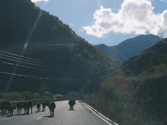 -冶力关旅游区
