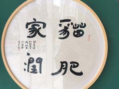 -飞行喵MR PILOT|猫舍·猫咖(静安大融城店)