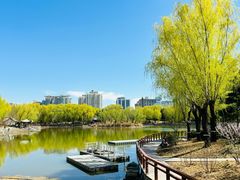 -三忘湖 SWANSEEN(柳荫公园店)