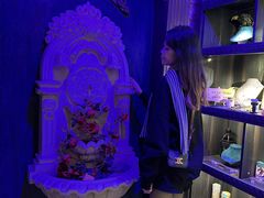 -雪灵魔法世界SHELLY’S TAROT(大良桂畔里店)