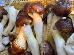 -金鼎雪山牦牛杂火锅(理县总店)