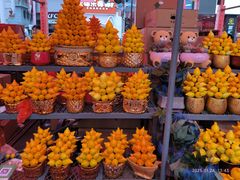 -越秀西湖花市(广州城市广场花卉店)