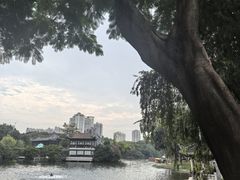 -荔湾湖公园