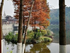 -重庆彩云湖湿地公园