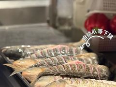 -阿五黄河大鲤鱼(海尚店)