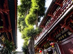 -叩齿古寺