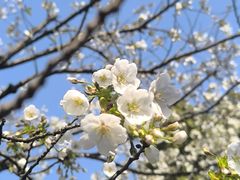 -玄武湖景区-情侣园游乐场