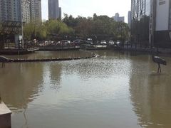 android_upload_pic-苏州河梦清园环保主题公园