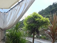 -三姐妹·海鲜大排档