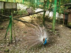 -藏龙百瀑风景区