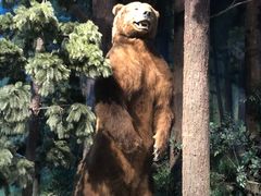 -陕西自然博物馆