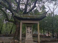 -兰亭风景区