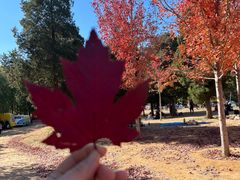 -北京西山国家森林公园