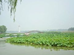 -白洋淀景区