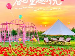 -春花秋色城市公园
