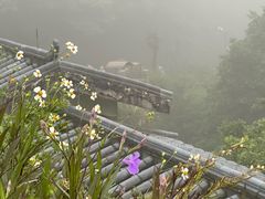 -梧桐山风景名胜区