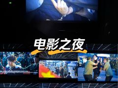 -华美国际影城(旧宫永辉店)