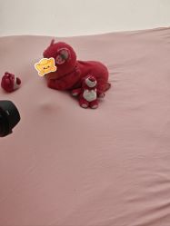 -玛瑞莎孕婴童摄影到家拍