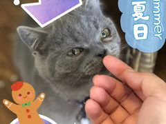 -春笙食堂.丼饭拉面寿司(GOGO新天地店)