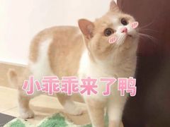 -方快-照相馆(金桥国际店)