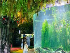 -海合安成都极地海洋公园