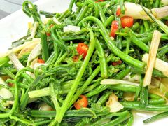 姜葱炒蕨菜-晶采餐厅(仁化丹霞山店)