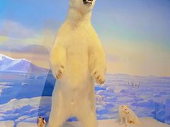 -陕西自然博物馆