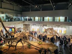 -自贡恐龙博物馆