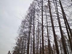 -杭州西湖风景名胜区-满觉陇四眼井