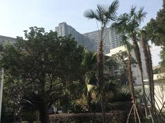 -四川天府新区人民医院