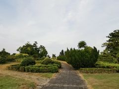 -南沙蒲洲花园