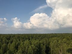 -峡谷浮石林景区