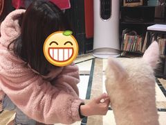 -猫色咖啡·猫咖