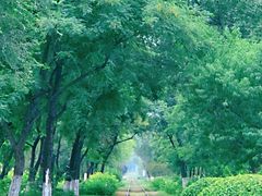 -永定河休闲森林公园