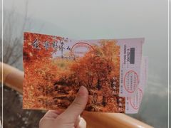 -妙峰山风景名胜区