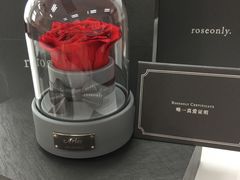 -ROSEONLY诺誓(沈阳万象城店)