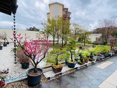 -南紀白浜 浜千鳥の湯 海舟