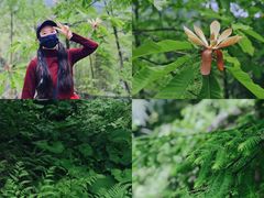 -龙窝子