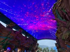 -珠海长隆海洋王国