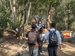 -灵顺寺