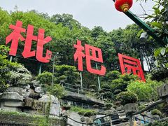 -枇杷园食为鲜火锅(南山店)
