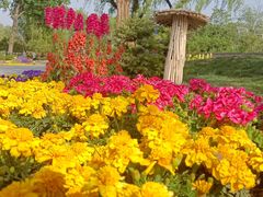 -国家植物园南园