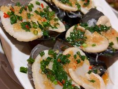 豆豉清蒸鲜带子-玫瑰厅上海菜(兴国路店)