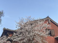 -广富林郊野公园