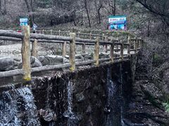 -王顺山国家森林公园