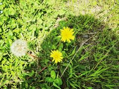 -汉景帝阳陵博物院
