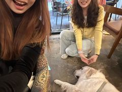 -咖法森林·咖啡  酒吧(天河店)