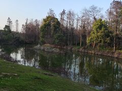 -艾溪湖湿地公园