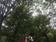 -江南天池
