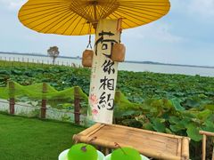 -七的湖·晚芳亭·阳澄湖农家菜·大闸蟹(莲花岛店)